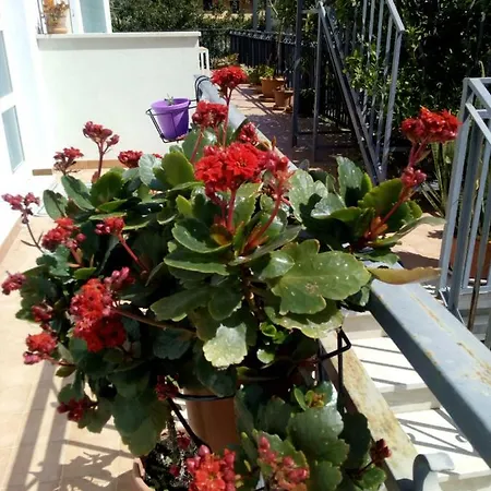 Apartament Terme