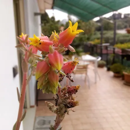 Apartment Casa Vacanze Terme