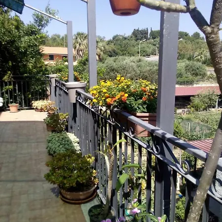 Apartament Terme *